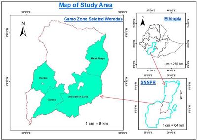 Nutritional quality of indigenous legume browse in southern Ethiopia: farmers’ preference and correlation of local valuation of feed value with scientific indicators